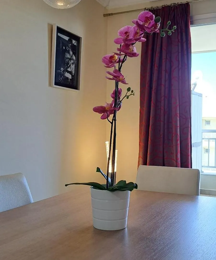Apartmán Casa Luca Palm-mar